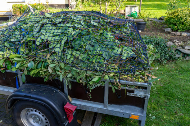 Best Carpet Removal and Disposal  in Lykens, PA